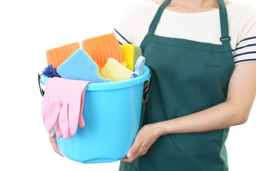 Professional carpet cleaning in a Shepherdsbush home