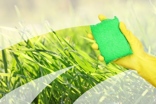 Domestic cleaning service in Shepherdsbush living room