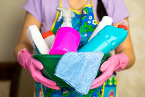 House cleaning in Shepherdsbush for a tidy modern home