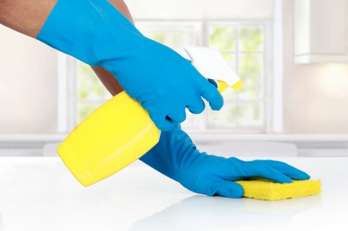 Careful cleaning of a delicate sofa fabric by a specialist