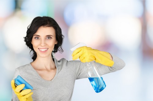 Carpet and floor cleaning for a Shepherdsbush tenancy handover