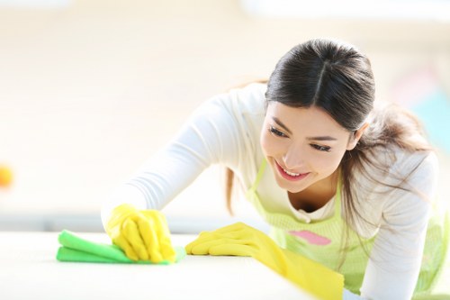 Domestic cleaning in a Shepherdsbush apartment