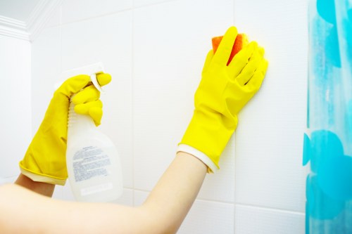 Carpet cleaner equipment used in Shepherdsbush property