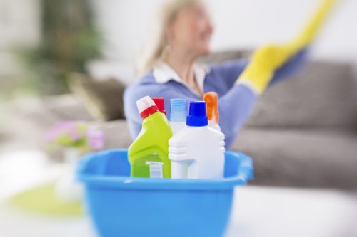 Carpet cleaning service assessment and issue review