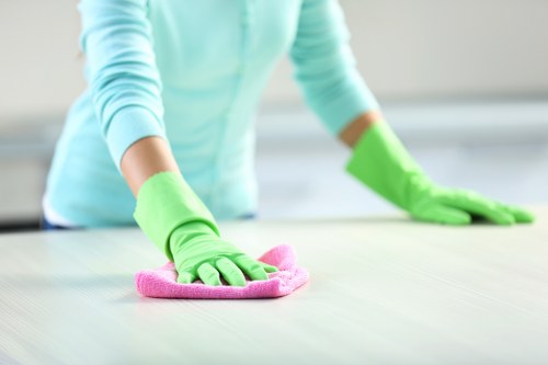 Technician using advanced carpet cleaning equipment on a living room floor