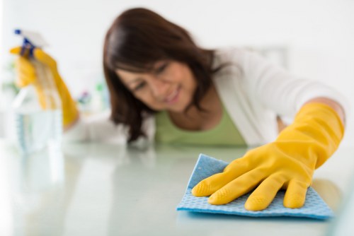 Final property cleaning before inventory inspection in Shepherdsbush