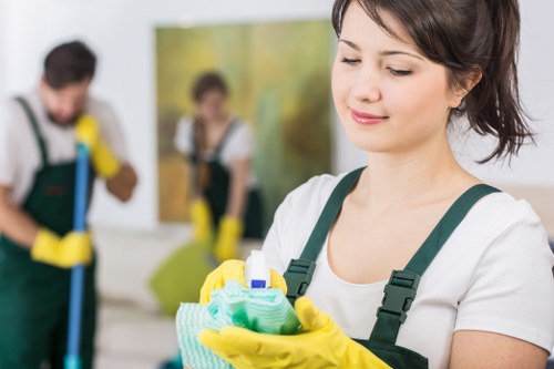 Bathroom cleaning as part of domestic cleaning in Shepherdsbush