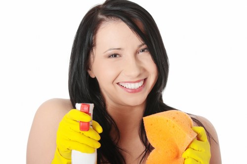 Deep cleaning a fabric sofa to remove dust and odours
