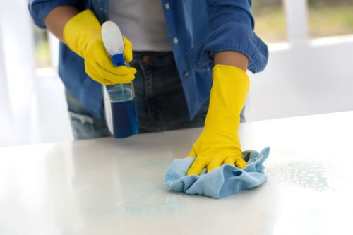 Kitchen deep cleaning in Shepherdsbush with detailed surface care