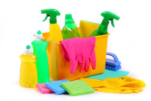 Cleaning tools and supplies for Shepherdsbush services